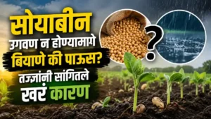 Soybean Germination SIAM