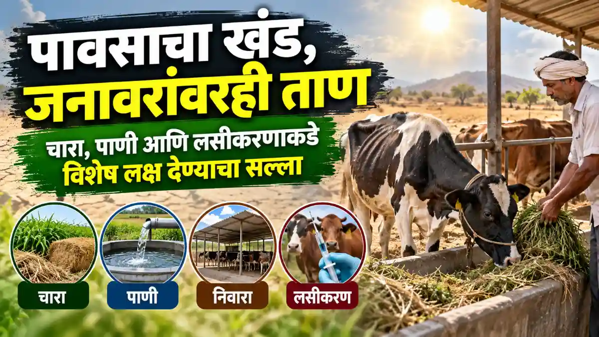 Livestock Management Animal Care