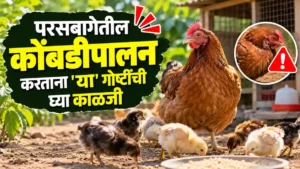 Poultry Farming Managment