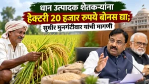 Paddy Farmer Bonus