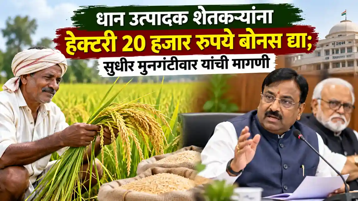 Paddy Farmer Bonus